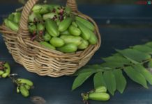 Cara Alami Hilangkan Nyeri Akibat Gigi Berlubang!