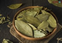 Manfaat Daun Salam, Salah Satunya Dapat Mencegah Kanker!