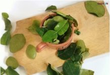 Manfaat Daun Jeruk Purut, Salah Satunya Dapat Atasi Stres!