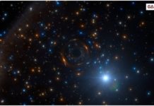 Ahli Astronomi Berhasil Temukan Bintang Menari, Mirip Teori Albert Einstein