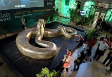 Ini Dia Hewan Bertubuh Besar Tapi Punah Duluan, Karena Kemampuan Adaptasinya Kurang Baik!