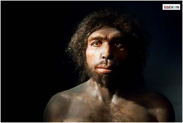 Ilmuwan Temukan Leluhur Manusia Yang Sudah Berusia 800 Ribu Tahun, Lebih Tua Dari Homo Sapiens!