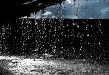 Peneliti Menguak “ Petrichor” Aroma Khas Setelah Hujan