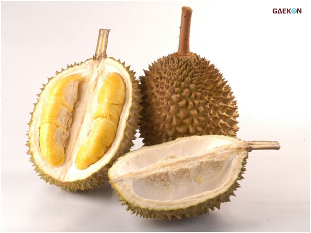 Peneliti Temukan Teknologi ‘Fast Charging’ Di Masa Mendatang Dengan Kulit Durian