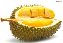 Peneliti Temukan Teknologi ‘Fast Charging’ Di Masa Mendatang Dengan Kulit Durian