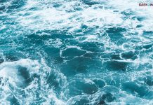 13 Hal Ini Bisa Kamu Temukan Di Laut Terdalam!