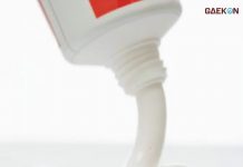 Disengat Lebah? Jangan Khawatir Ini Cara Mengatasinya!