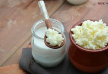 7 Manfaat Probiotik untuk Tubuh Kita, Kamu Wajib Tau!