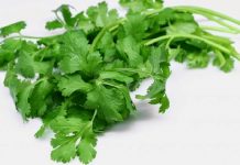 Bukan Hanya Penambah Aroma Sedap Rasa Sup, Ini Manfaat Seledri Untuk Kesehatan!