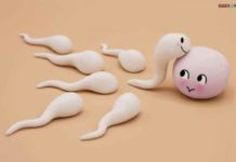 Usai Ngencuks Sperma Keluar Dari Vagina, Apa Masih Bisa Hamil?