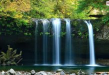 Fakta Ilmiah, Suara Alam Bikin Hati Tenang!