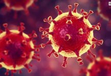 Pandemi Corona Dan Level Kemampuan Makan Rakyat