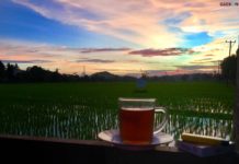 Hidup Itu Luas! Tapi Kita Asyik Berenang Dalam Kolam Dikotomi