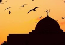 Kebanyakan, Kenapa Sih Fatwa Nggak Jadi Satu Saja?