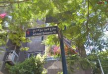 5 Fakta Unik Soekarno Diabadikan Di Perangako Hingga Nama Jalan Di Negara Lain