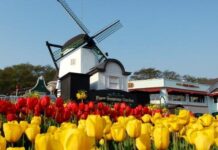 Tradisi Saat Hari Libur Chuseok Di Korea