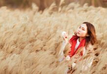 Rumput Indah Namemiscanthus Jadi Tujuan Di Gunung Jangsan Saat Musim Gugur