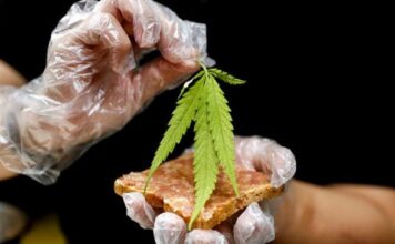 Ganja Jadi Pilihan Menu Restoran di Thailand