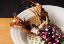 Food Plating Bikin Makanan Makin Menarik food plating