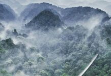 Situgunung Suspension Bridge: Jembatan Gantung di Sukabumi, Jawa Barat situgunung
