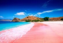 Unik, Pasir Pantai Ini Berwarna Pink pasir