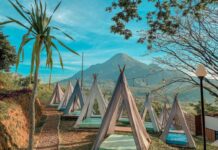 Nikmati Suasana Alam Di Jungle Cafe Trawas