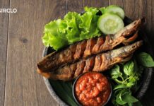 Ikan Lele dan Manfaatnya Bagi Kesehatan ikan lele