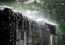 Petrichor: Bau Enak Saat Hujan Turun petrichor