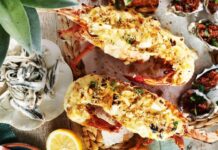 Lobster: Nilai Nutrisi dan Ancaman Bahaya lobster