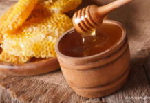 Madu dan Manfaatnya Bagi Kesehatan madu