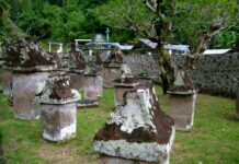 Posisi Jenazah Duduk Seperti Bayi Dalam Rahim, Ini Tradisi Suku Minahasa