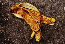 Pupuk Kulit Pisang: Cara Membuat dan Cara Memakai pupuk kulit pisang