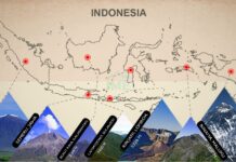 Mengenal 7 Gunung “Seven Summit Indonesia”