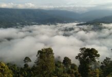 Desa Wisata Sani Sani: Keindahan Alam Kolaka, Sulawesi Tenggara desa wisata