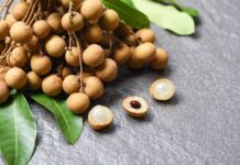 Dibalik Manisnya Buah Kelengkeng, ini Bahayanya!