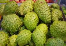 Sirsak dan Manfaat Kesehatannya sirsak