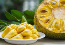 Bahaya Konsumsi Buah Nangka, Jangan Sampai Menyesal!