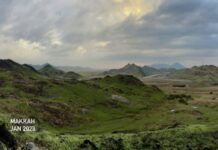 Arab Saudi Mendadak Hijau, Apa Penyebabnya? arab saudi