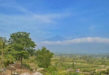 Cafe E: Tempat Nongkrong Baru di Pasuruan cafe e