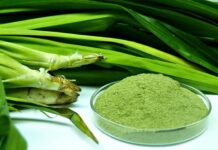 Daun Pandan dan Manfaatnya untuk Kesehatan daun pandan