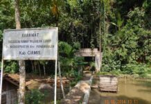 Mitos Hutan Pasarean Ciamis, Siapapun yang Berani mengambil Hasil Alam akan Didatangi Sosok ‘Maung’