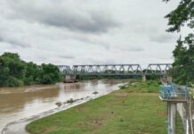 Sungai Bengawan Solo: Sejarah dan Mitos Sungai Terpanjang Pulau Jawa sungai bengawan solo