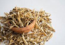 Ikan Teri: Kecil Namun Banyak Manfaat ikan teri