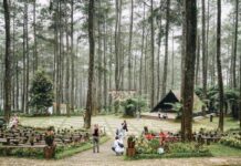 Rekomendasi Wisata Lembang, Bandung bandung