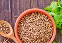 Pedasnya Bikin Ampun, Siapa Sangka Merica Rupanya Bermanfaat Untuk Otak!