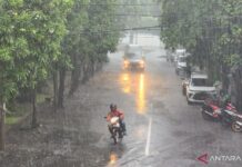 Cuaca Ekstrem Landa Berbagai Daerah di Jawa Timur cuaca ekstrem