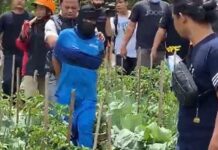 Dukun di Banjarnegara Bunuh 11 Orang: Janjikan Penggandaan Uang dukun