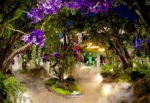 Lalitta Café Thailand, Café Suasana Hutan Bak Negeri Dongeng lalitta cafe