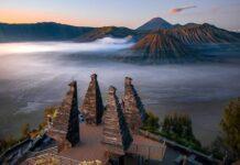 Mitos Lilitan Akar Pohon Gaib Gunung Bromo Yang Mematikan