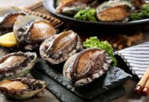 Abalone dan Alasan Dibalik Harganya yang Mahal Abalone